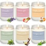 Christmas Candle Gift Set, 6 Natural Soy Wax Candles for Home, Long Burning Holiday Aromatherapy Set with Cinnamon Apple & Vanilla, Perfect Christmas Gifts for Women, Men, Friends & Family