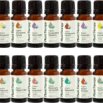 Plant Therapy Top 14 Organic Essential Oil Singles Set 100% Pure Essential Oils, Undiluted, Natural Aromatherapy for Diffusion and Body Care 10 mL (1/3 oz) Each